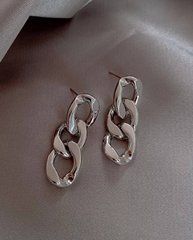 Сережки "Ланцюг" Срібного кольору 3.5 см