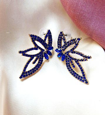 Сережки